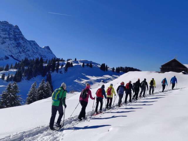 Excursion d'initiation à la raquette d'une demi-journée